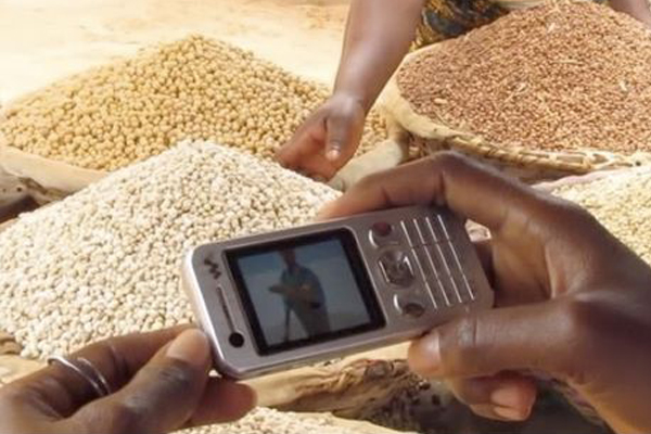 Smart Phone Farming